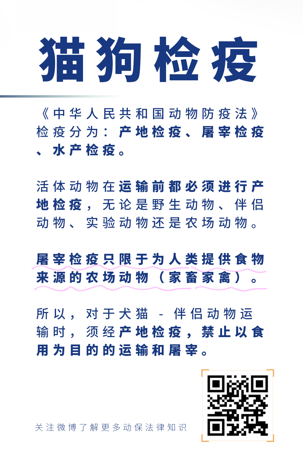 猫狗检疫.jpg