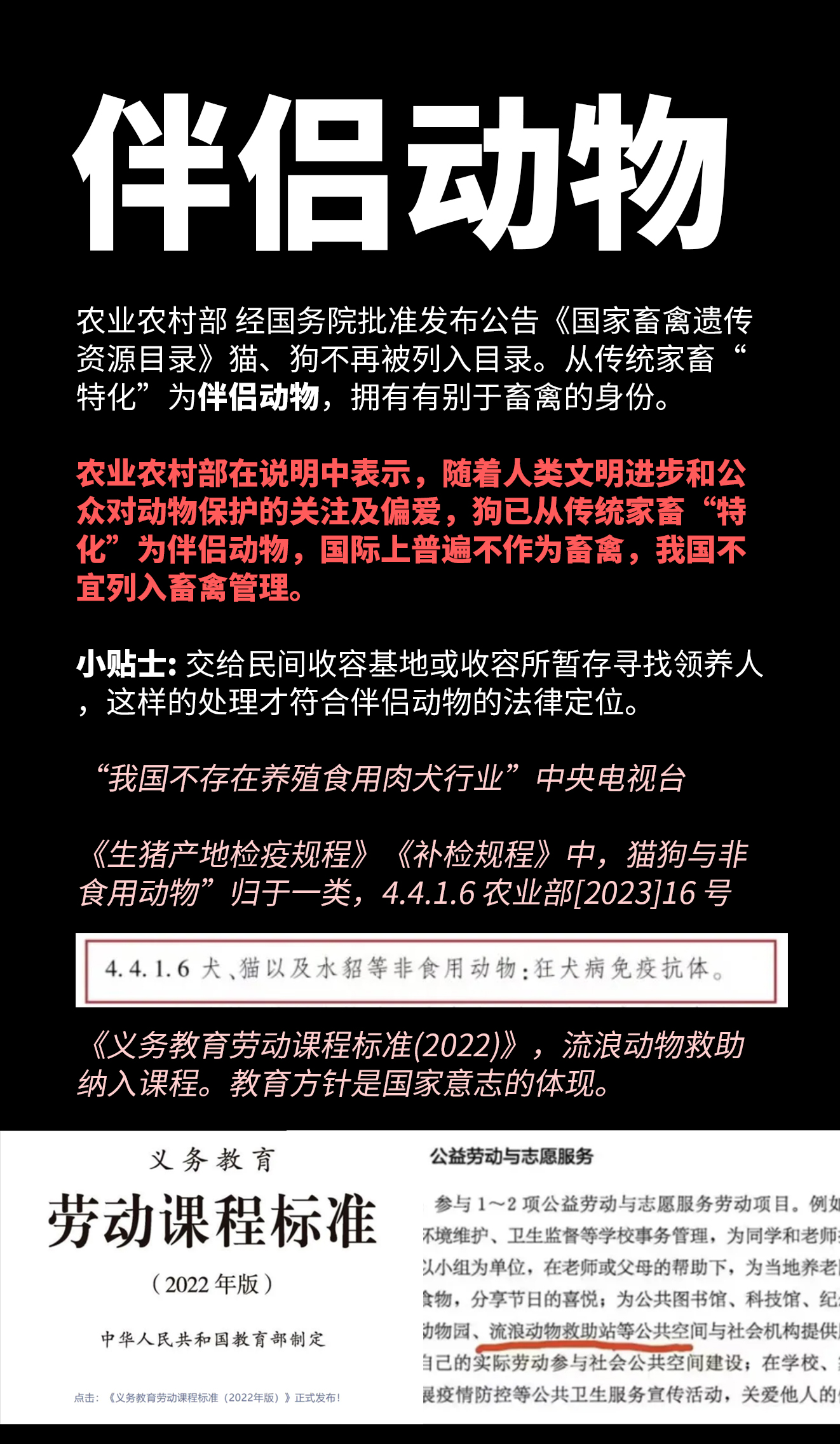 伴侣动物.jpg