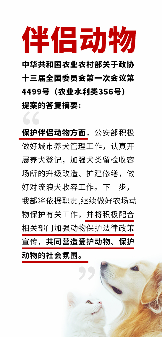 伴侣动物1副本.jpg