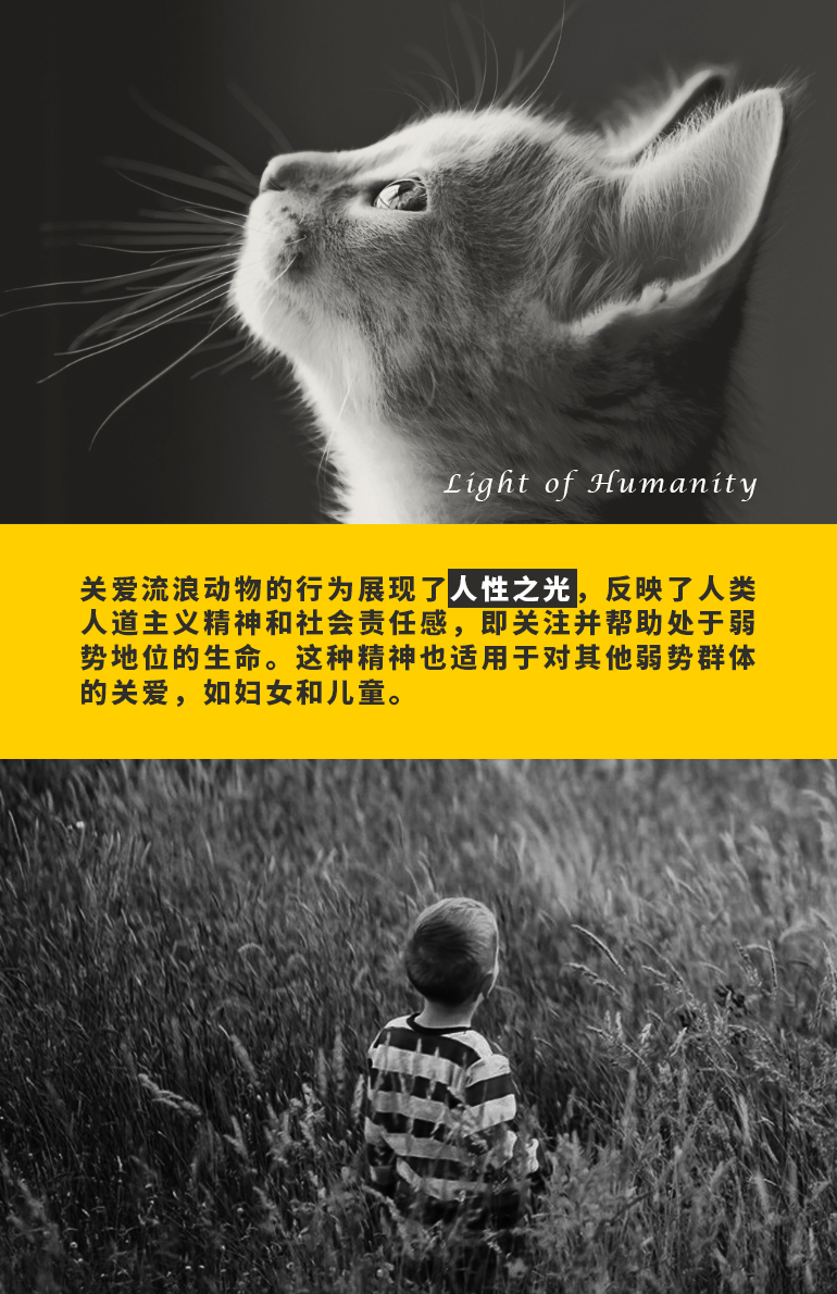人性之光.jpg
