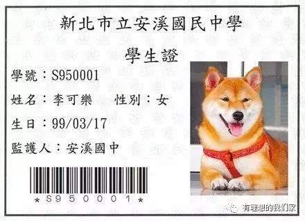 c02075793d1cabd9cb5b8c672e2e37c2.jpeg